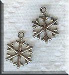 Holiday Charms