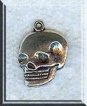 Skull Charms