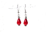 Red Crystal Earrings