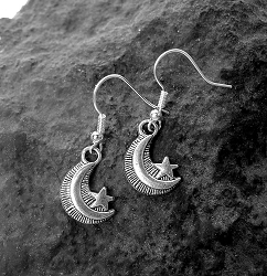 Crescent Moon Earrings