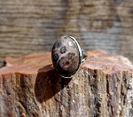 Sterling Silver Oribicular Jasper Ring Size 5