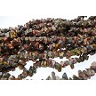 Leopardskin Jasper Chips, 6-8mm 