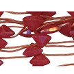 Strawberry Red Jade Fan Briolette Beads 