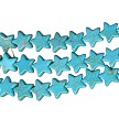 15mm Turquoise Magnesite Star Beads 