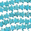 15mm Turquoise Magnesite Star Beads 