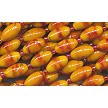 Gold Accent Yellow and Red Rice Beads with Seed Beads 