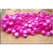 Top-Drilled Teardrop Coin Mother of Pearl Beads 