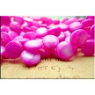 Top-Drilled Teardrop Coin Mother of Pearl Beads 