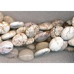 Oval White Turquoise Beads 