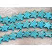 15mm Turquoise Star Beads 