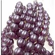 Satin Lavender 8mm Round Melon Czech Glass Beads 