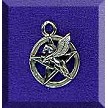 Sterling Silver Pegasus Pentacle Charm 