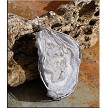 Wire-Wrapped Sugared Silver-Grey Druzy Chalcedony Rose Pendant 
