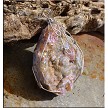 Wire Wrapped Sugared Druzy Chalcedony Rose Pendant 