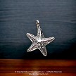 Bailed Sterling Silver Starfish Charm 