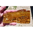 Ocean Jasper Slab 