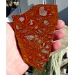 Noreena Jasper Slice 