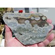 Ocean Jasper Slab 