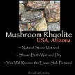 Mushroom Rhyolite Slab 