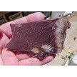 Alurgite Viridine Slab 