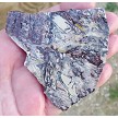 Porcelain Jasper Slice 