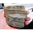 Zebra Marble Slab 