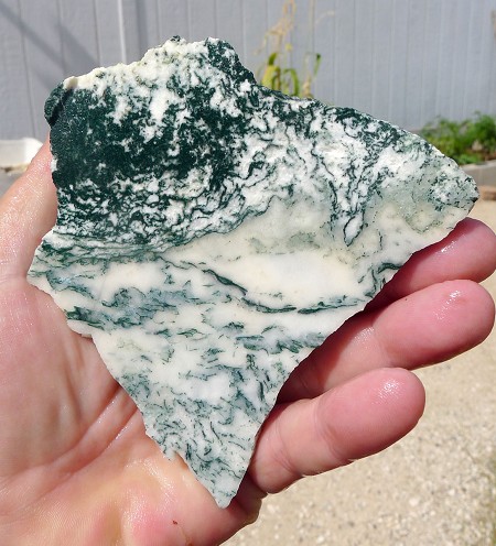 Tree Agate Slab 110x107x6.7mm 