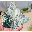 Tree Agate Slab 