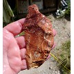 Rafael Jasper Slab End Cut 