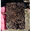Firecracker Obsidian Slice 