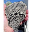 Fish Net Jasper Slice 