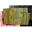 Lizard Stone Slice 