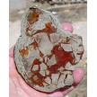 Petrified Dinosaur Shit Slab 