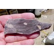 Alurgite Viridine Slab 
