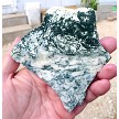 Tree Agate Slab 