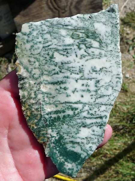 Tree Agate Slab 