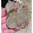 Mushroom Rhyolite Slab 