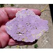 Phosphosiderite Slab 