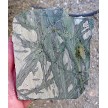 Green Picasso Jasper Slab 
