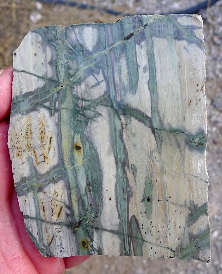 Green Picasso Jasper Slab 