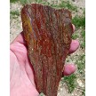Land's End Utah Jasper Slab 124x69x6.2mm 
