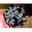 Snowflake Obsidian Slab 