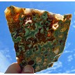 Rainforsest Jasper Slice 