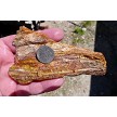 Land's End Utah Jasper Slice 