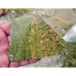 Unakite Jasper Slab 