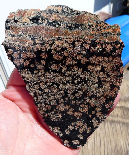 Flower Obsidian Slab 