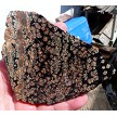 Flowering Obsidian Slab 