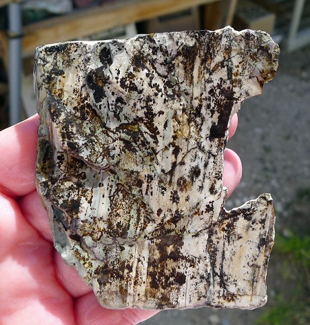 Green Picasso Jasper Slab End Cut 