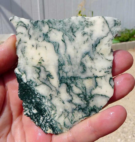 Tree Agate Slab 82x77x7.2mm 