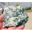 Tree Agate Slab 